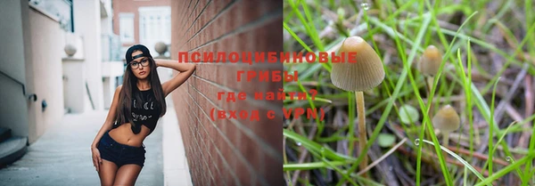 тгк Аркадак