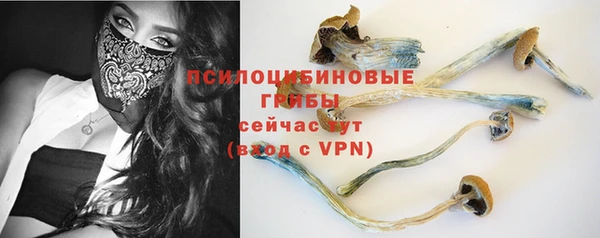 хмурый Алексин