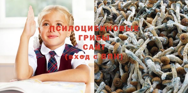 тгк Аркадак