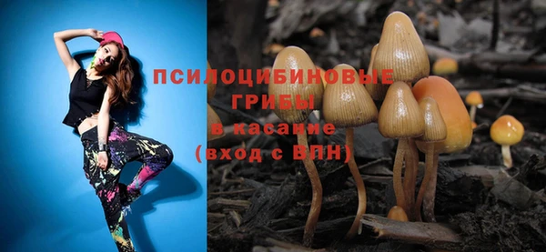 соль ск Балахна