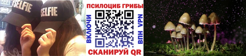 наркошоп  Покров  Галлюциногенные грибы MAGIC MUSHROOMS 